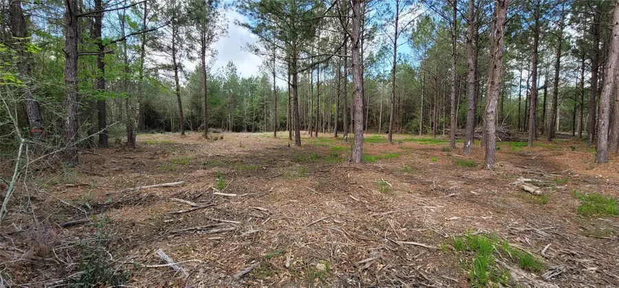 Lot 7 Blue Jay Drive, Kountze, TX 77625 - #3