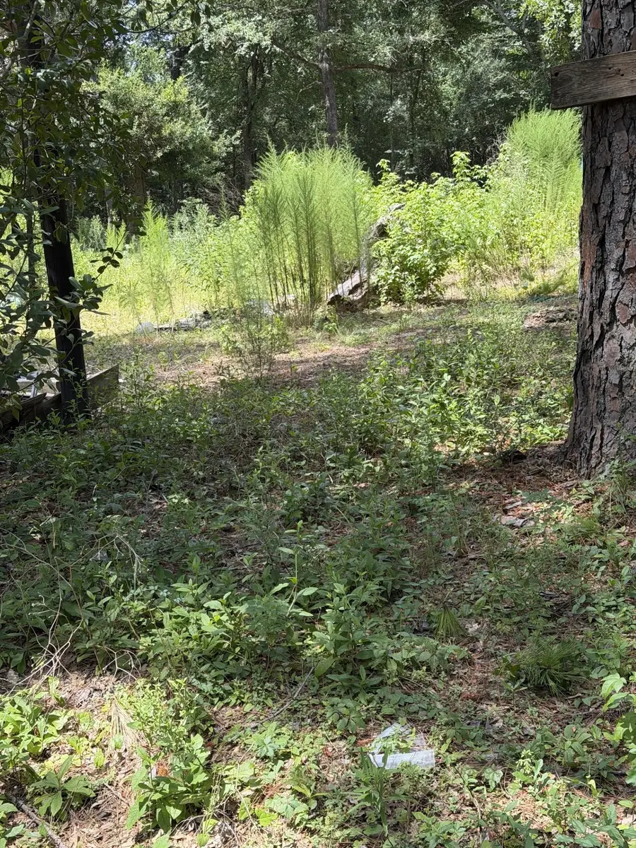 41502 S Buckhorn Lane, Magnolia, TX 77354 - #2