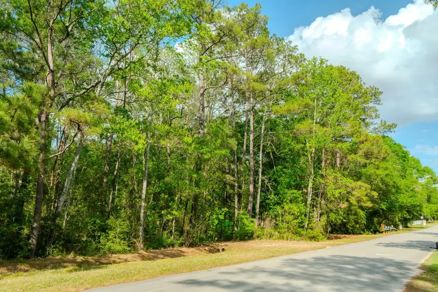 0 Ascot Farms, Magnolia, TX 77354 - #3