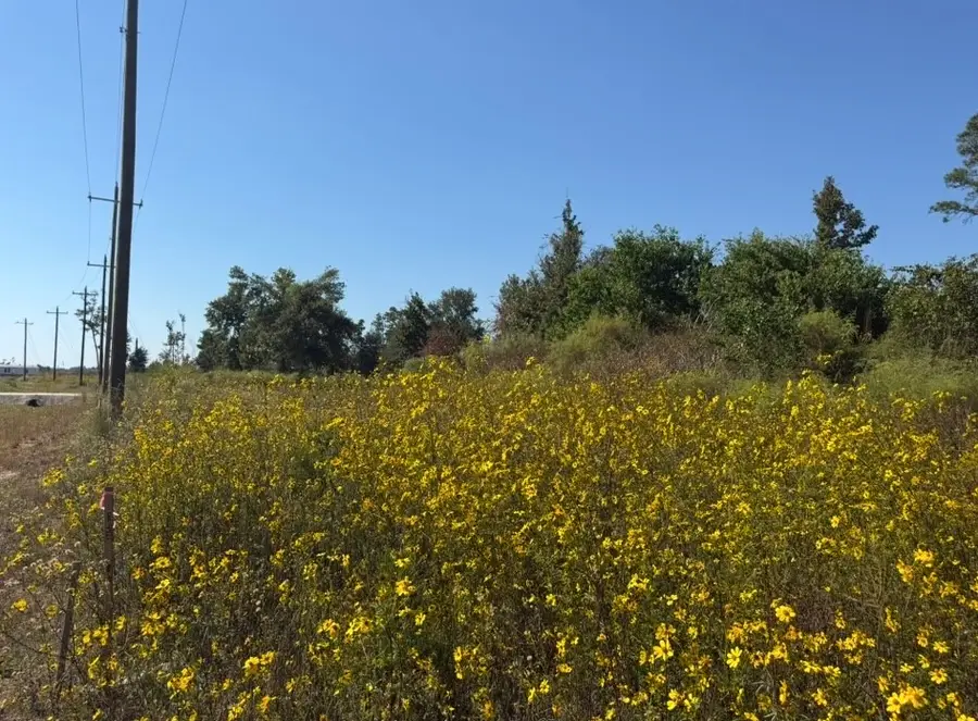 5308 Road 5914-08, Cleveland, TX 77327 - Image #3