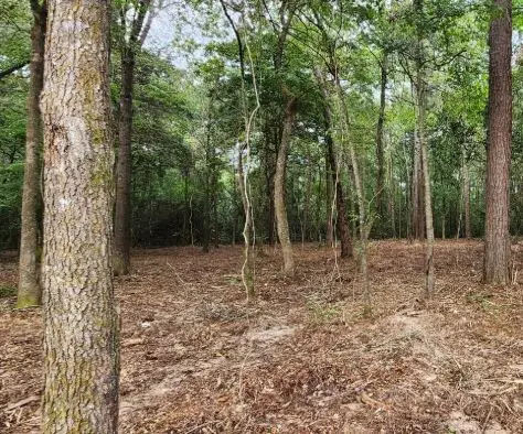 7575 Broussard Road, Beaumont, TX 77713 - #2