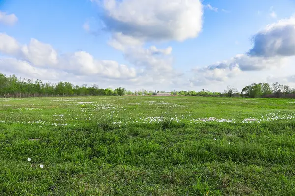 1115 E Fm 1462 Road, Rosharon, TX 77583