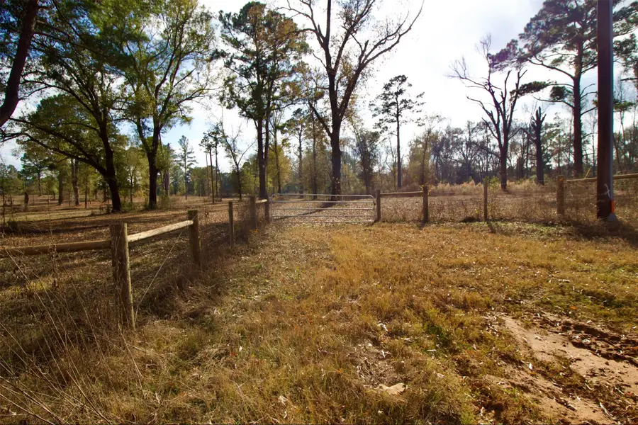 373 County Road 2125, Crockett, TX 75835 - Image #3