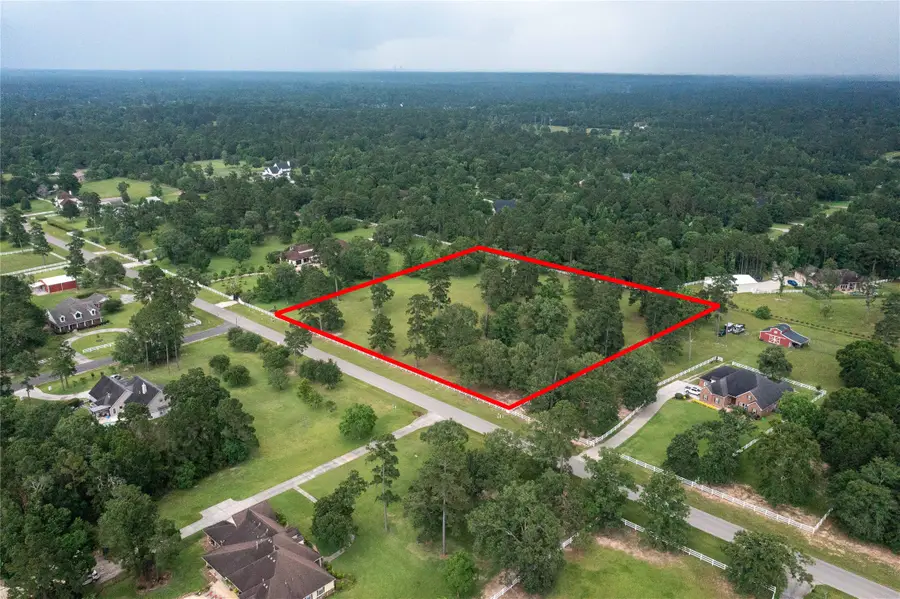 15477 Crown Oaks Drive, Montgomery, TX 77316 - #2