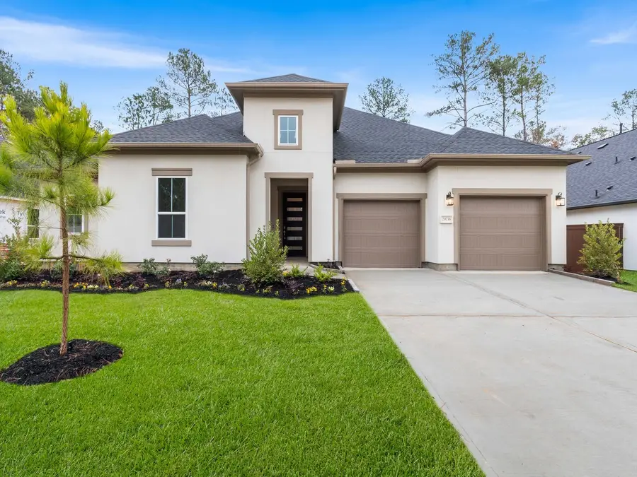 29738 Shady Glade Lane, Magnolia, TX 77354 - #2