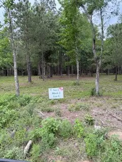 139778 Capital Creek Ranch Boulevard, Willis, TX 77378 - #1