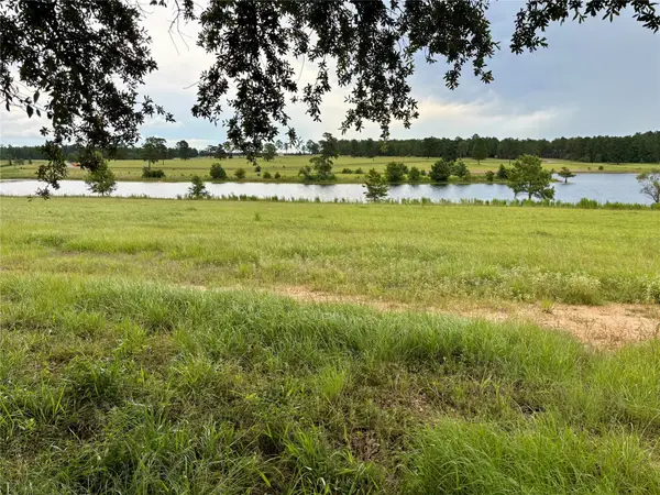0 Lakeland Drive, Hillister, TX 77624