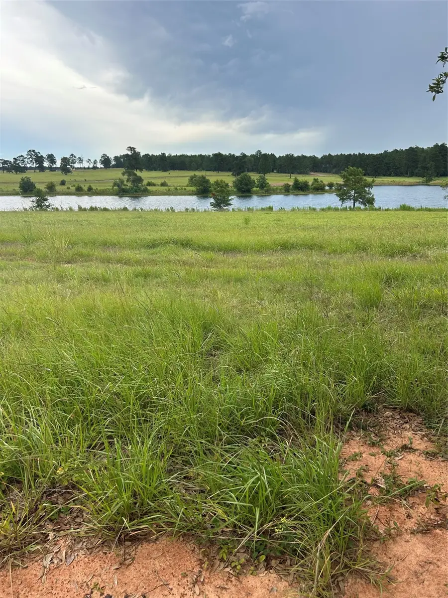 0 Lakeland Drive, Hillister, TX 77624 - Image #3