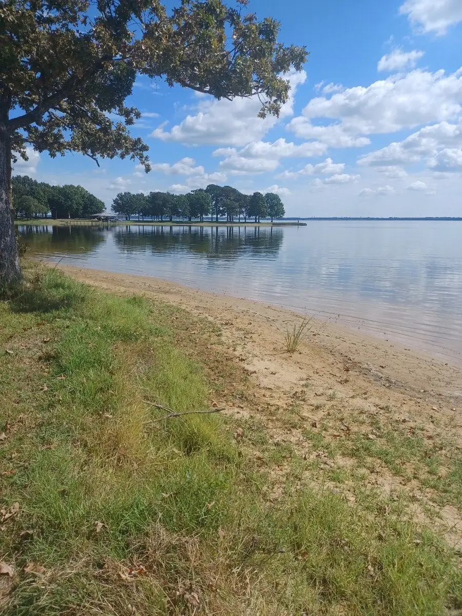 0 0 Scenic Rd, Trinidad, TX 75163 - #3