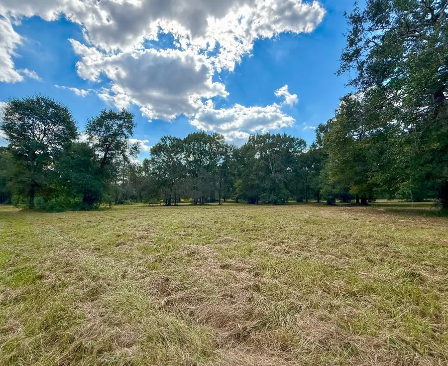 0 Mount Zion Road, New Waverly, TX 77358 - #3