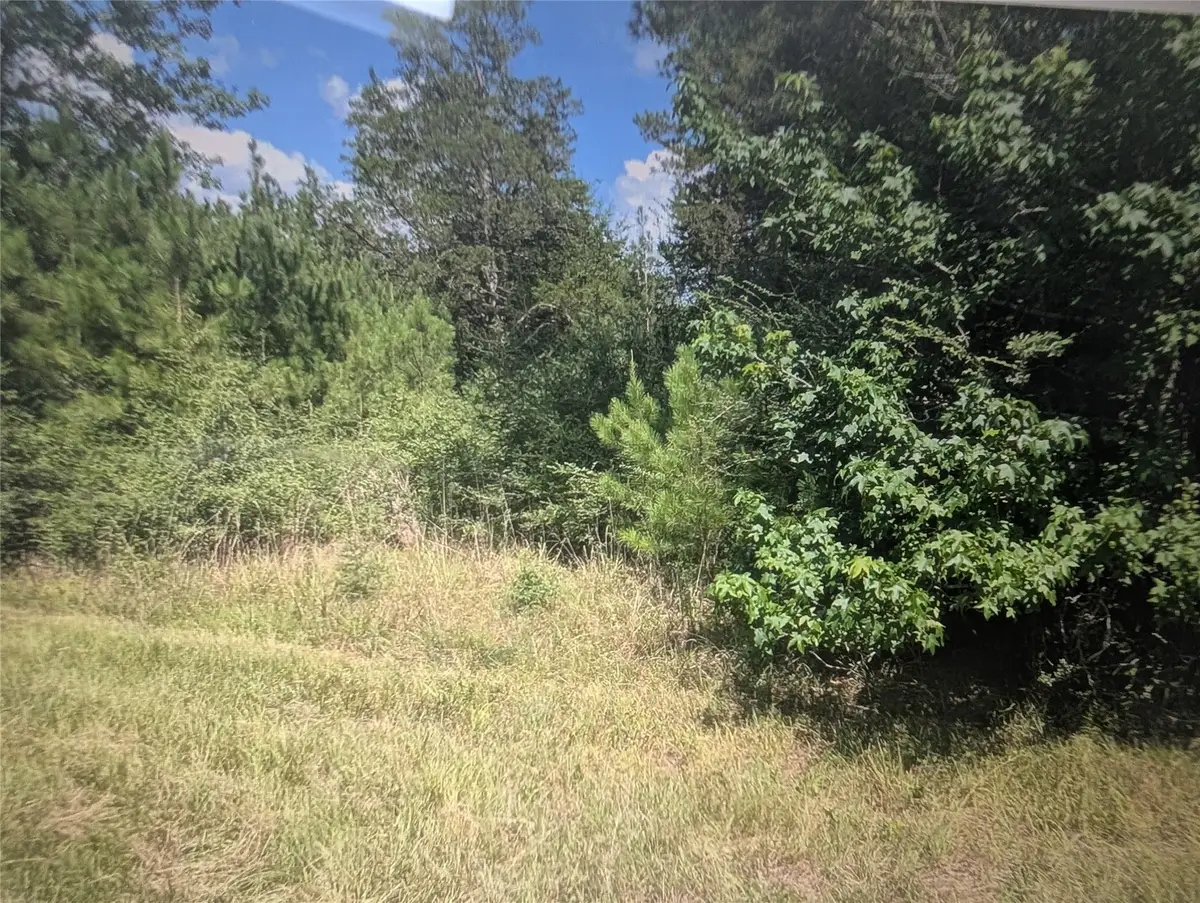 0 Hwy 59, Livingston, TX 77351 - #1
