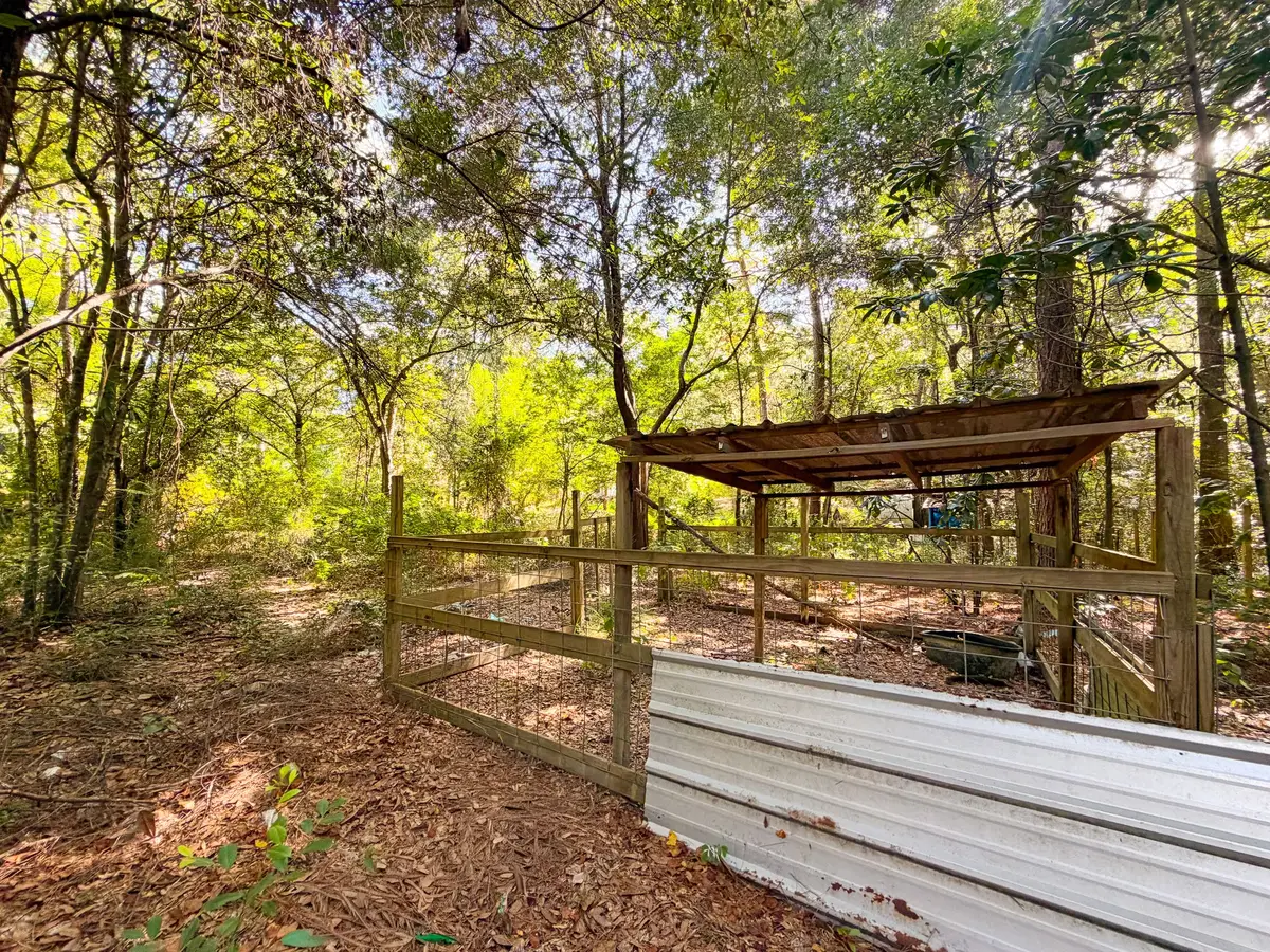 19124 Leicester, New Caney, TX 77357 - #1