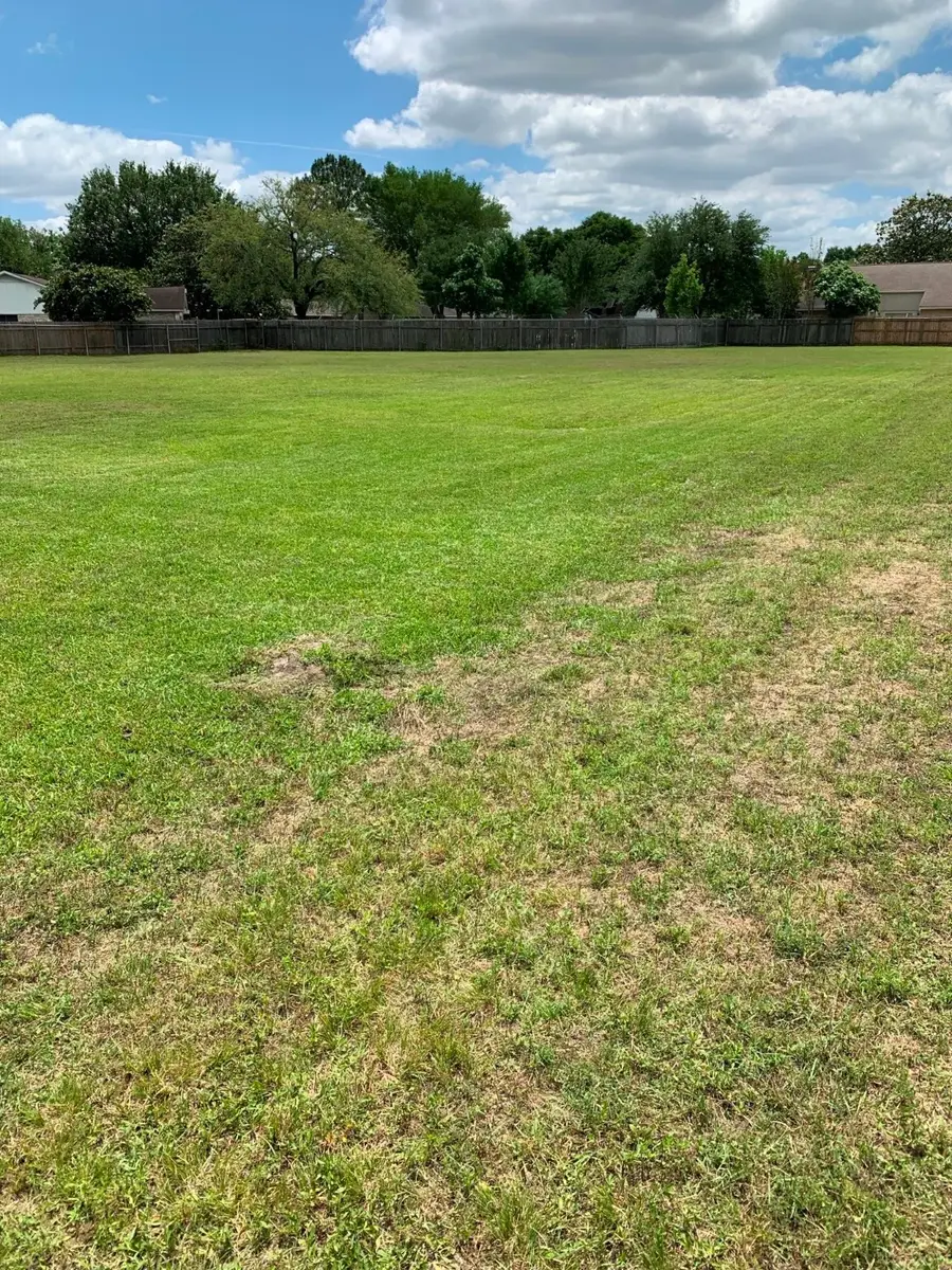 12202 Gainsborough Drive, Houston, TX 77031 - Image #3