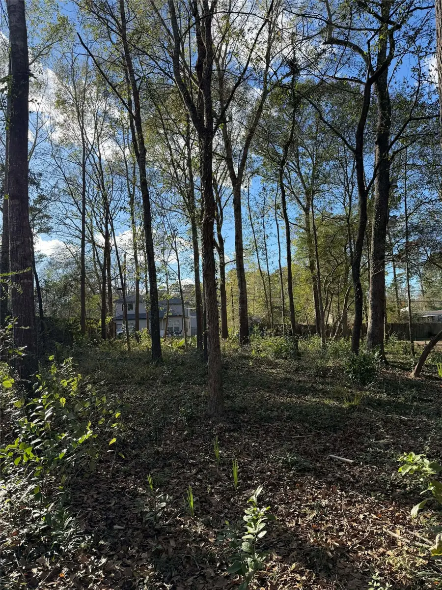 15726 Holly Drive, Montgomery, TX 77356 - #2