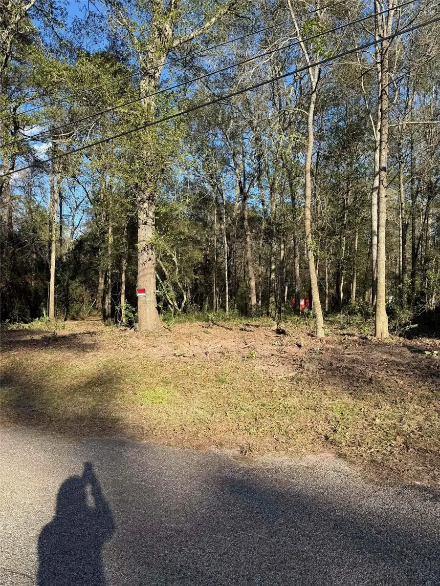 15726 Holly Drive, Montgomery, TX 77356 - #3