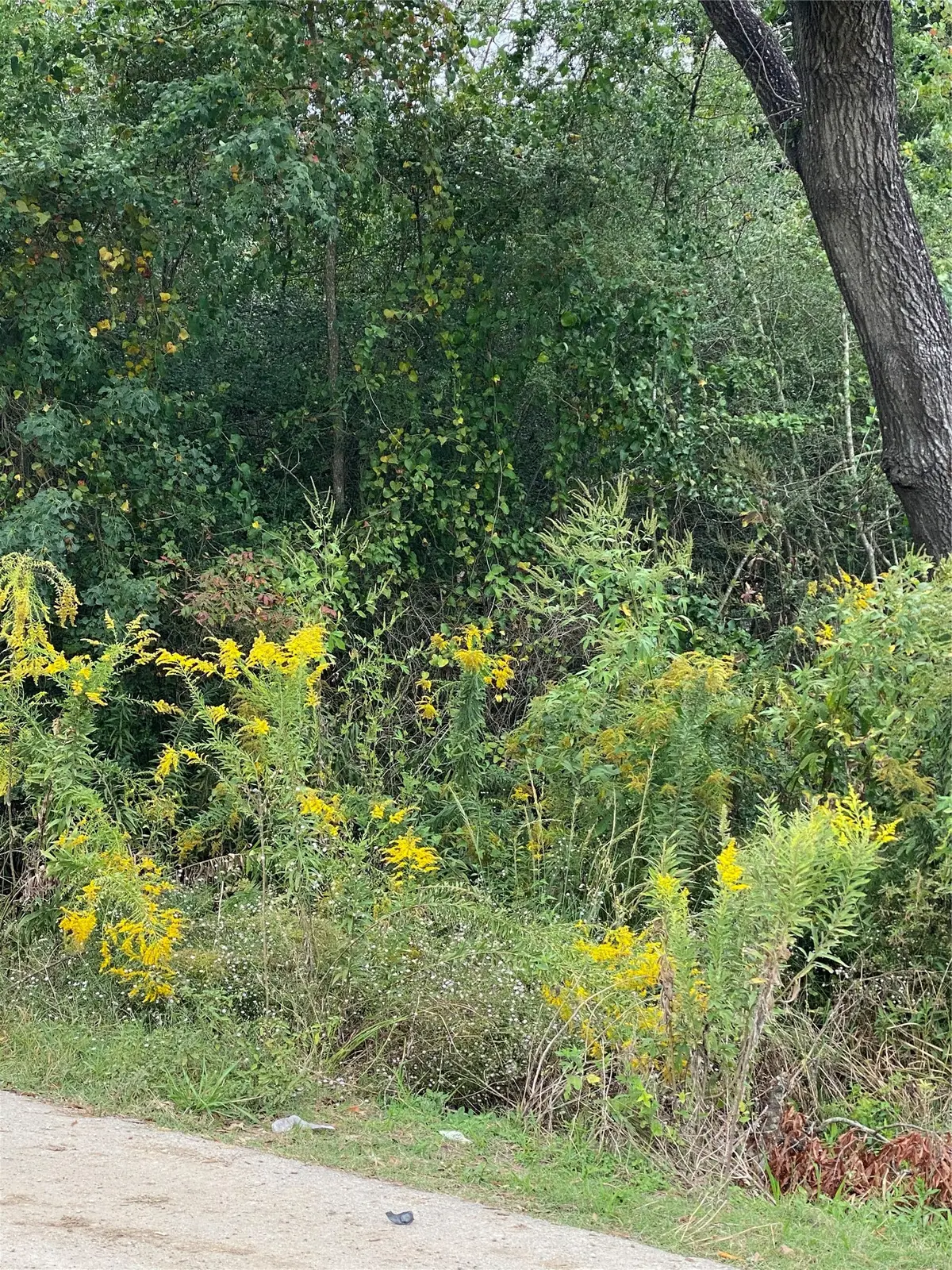 0 Ezzard Charles Lane, Houston, TX 77091 - #1