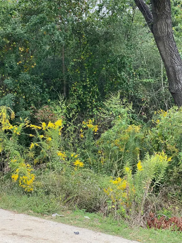 0 Ezzard Charles Lane, Houston, TX 77091