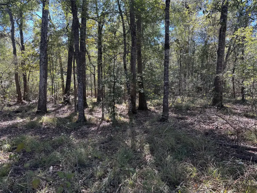 401 County Road 401, Dayton, TX 77535 - #2