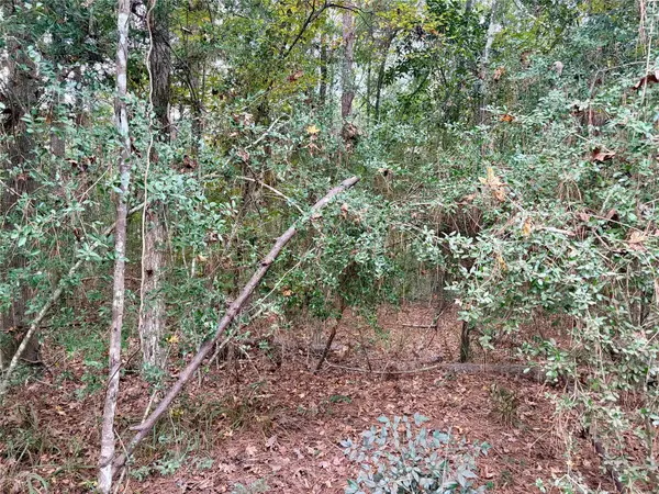 TBD Magnolia Duke Drive, Livingston, TX 77351