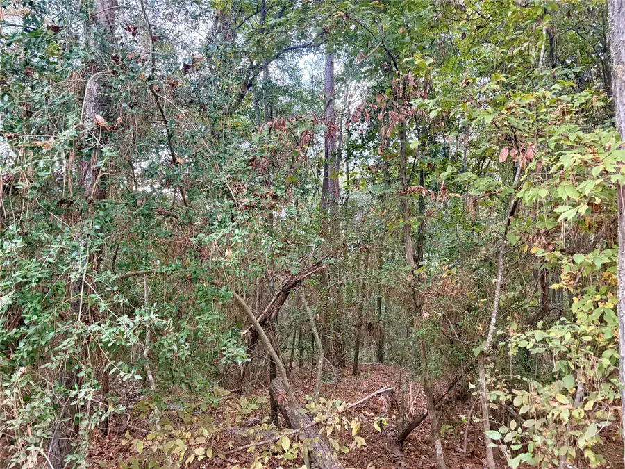 TBD Magnolia Duke Drive, Livingston, TX 77351 - Image #2