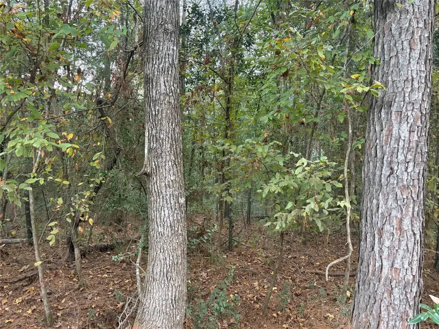 TBD Magnolia Duke Drive, Livingston, TX 77351 - Image #3
