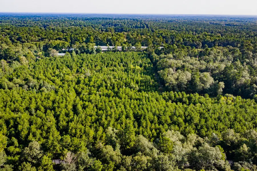1378 N Duck Creek B Road, Cleveland, TX 77328 - #2