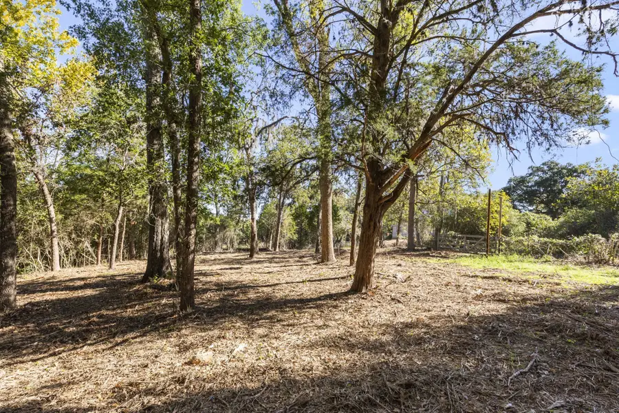 000 Dungens Milll Road, Columbus, TX 78934 - Image #3