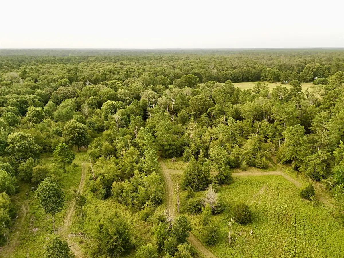 9695 County Rd 3555, Lovelady, TX 75851 - #1