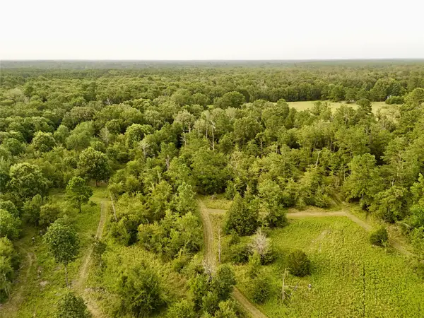9695 County Rd 3555, Lovelady, TX 75851