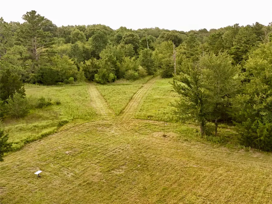9695 County Rd 3555, Lovelady, TX 75851 - #2