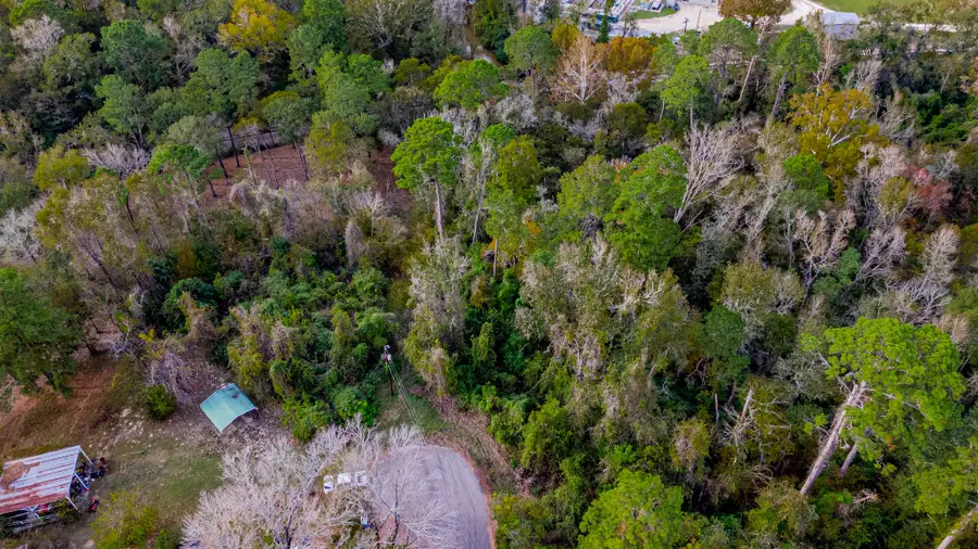 TBD LOT 53 Cardinal Drive, Livingston, TX 77351 - Image #2