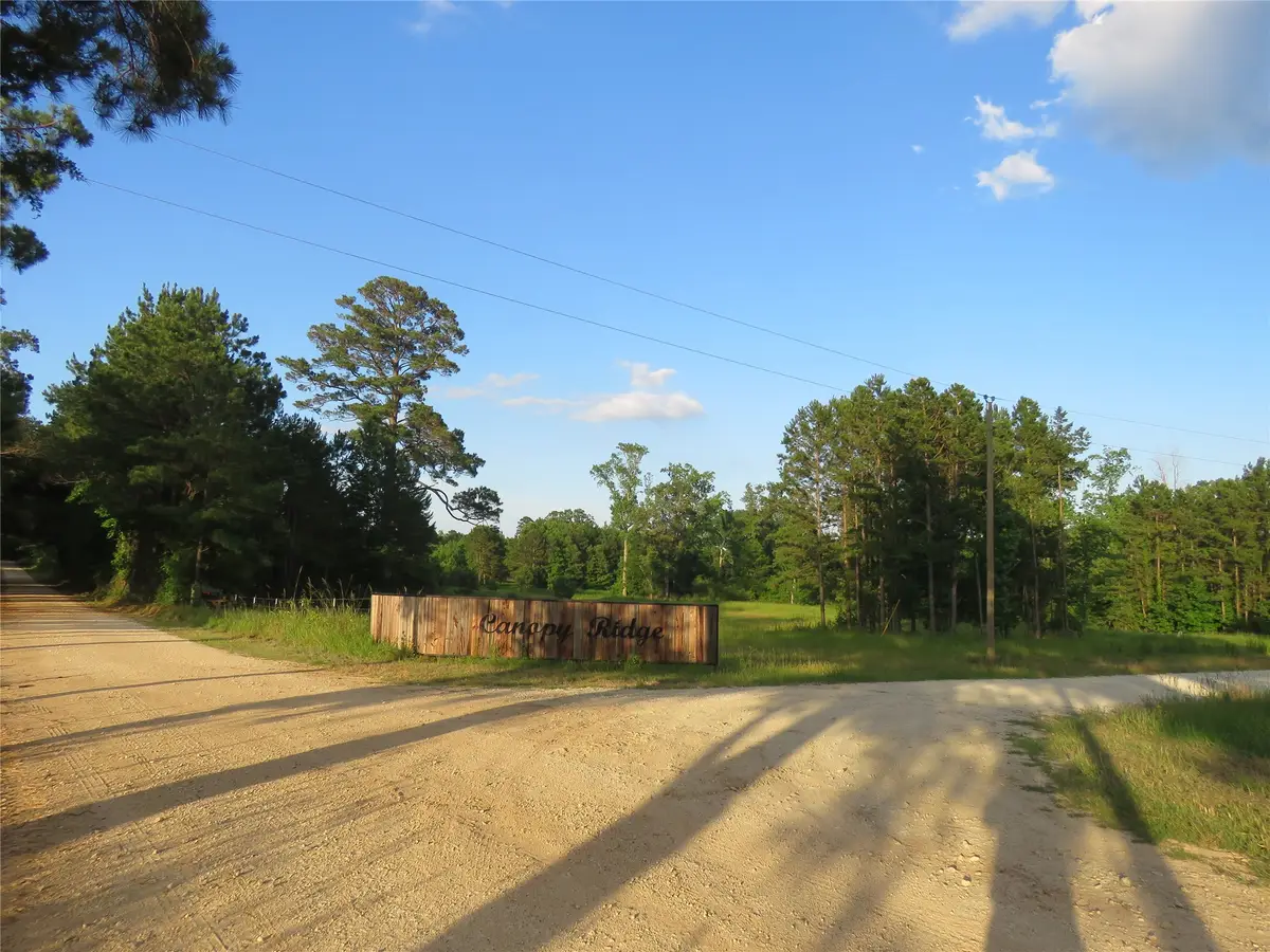 TBD Canopy Ridge Trail, Kennard, TX 75847 - #1