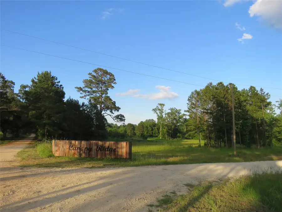 TBD Canopy Ridge Trail, Kennard, TX 75847 - #2