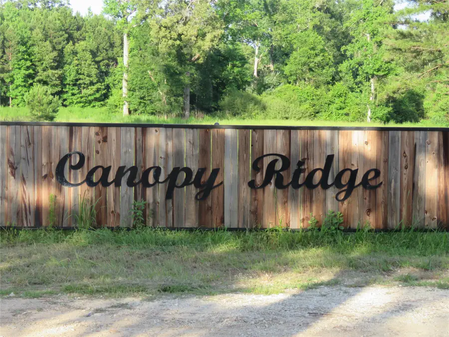 TBD Canopy Ridge Trail, Kennard, TX 75847 - #3