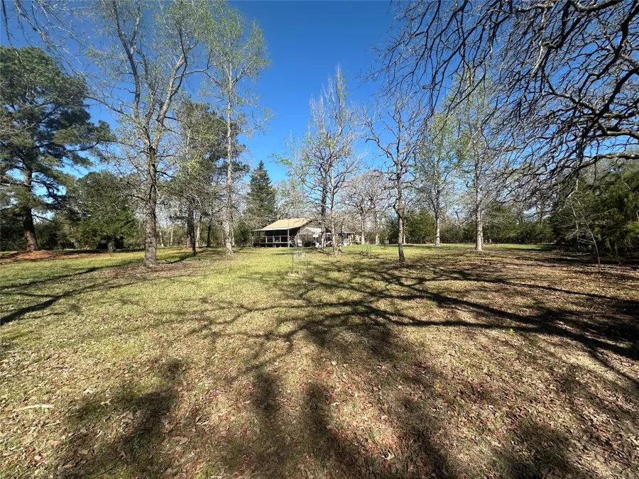 12035 County Road 259, Buffalo, TX 75831 - #2