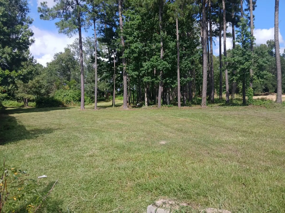 1359 County Road 3479j, Cleveland, TX 77327 - Image #1