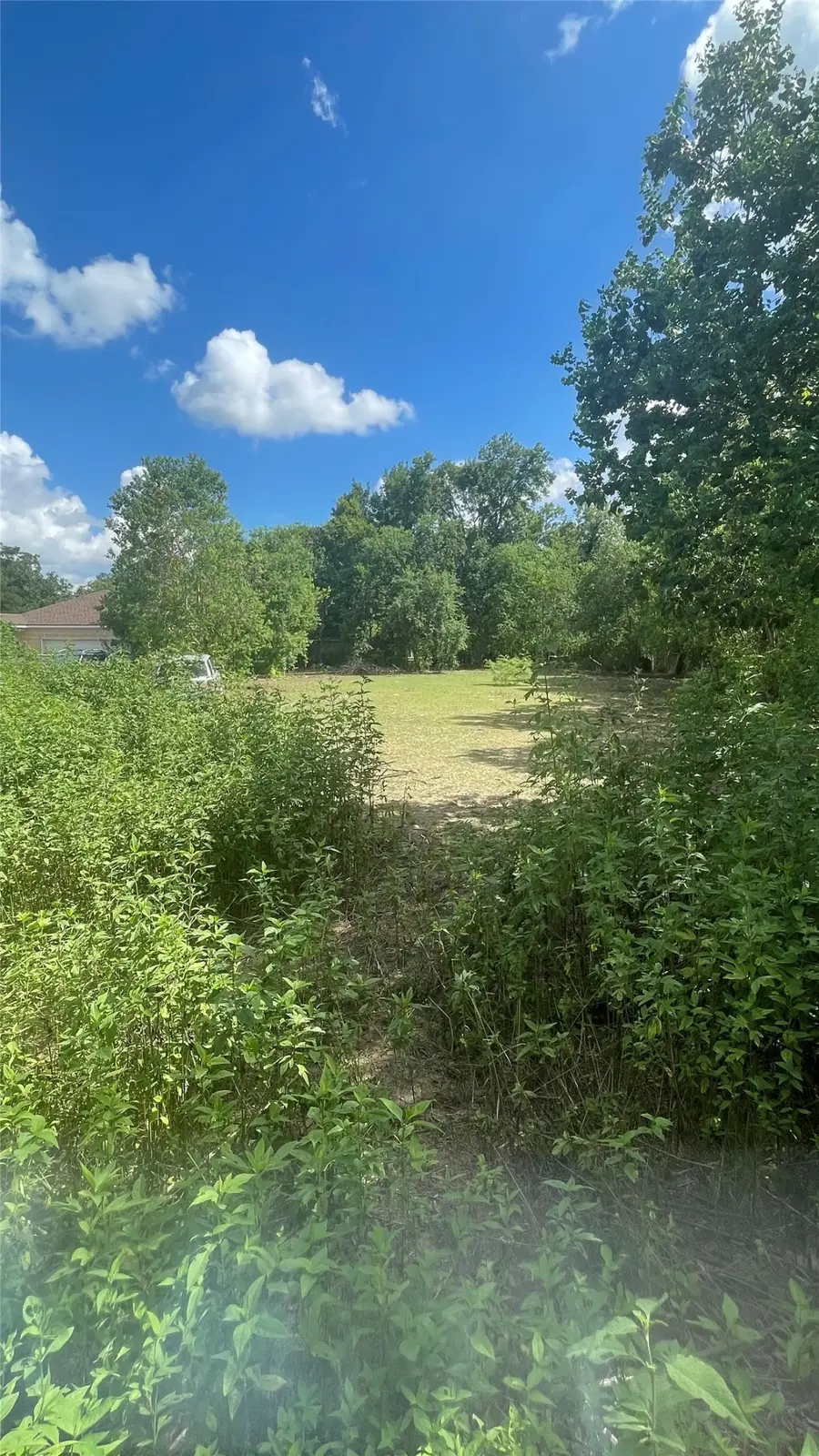 4906 Lincolnshire Road, Houston, TX 77048 - #2