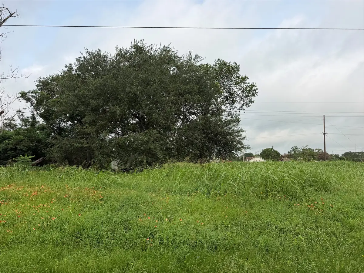 2702 14th, Hempstead, TX 77445 - #1