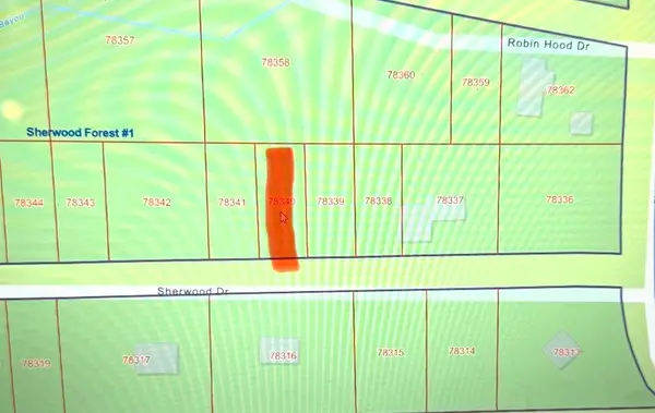 TBD Sherwood Drive, Shepherd, TX 77371