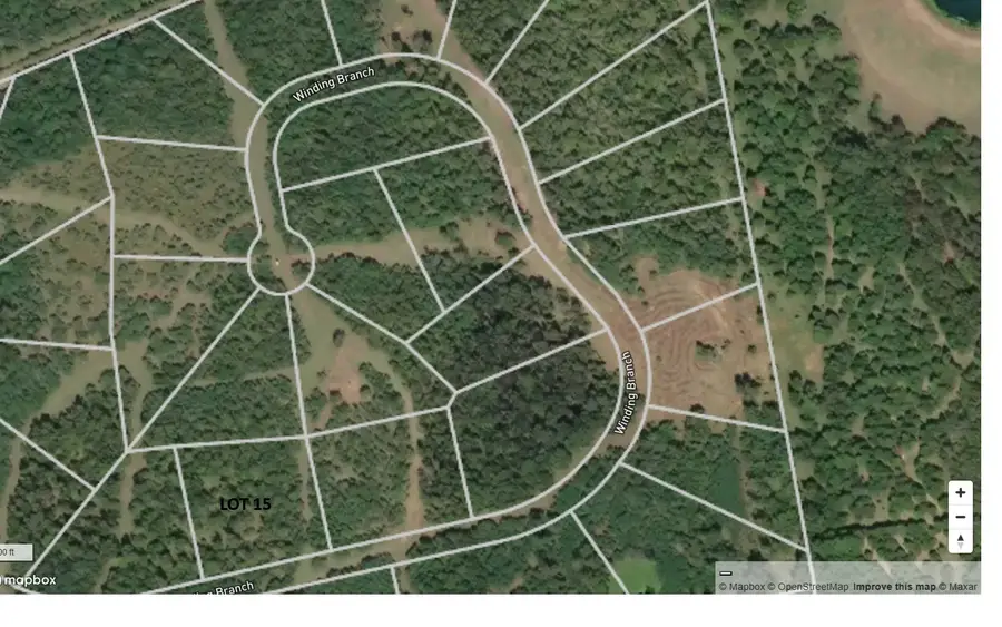 Lot 15 Winding Branch, Chappell Hill, TX 77426 - Image #3