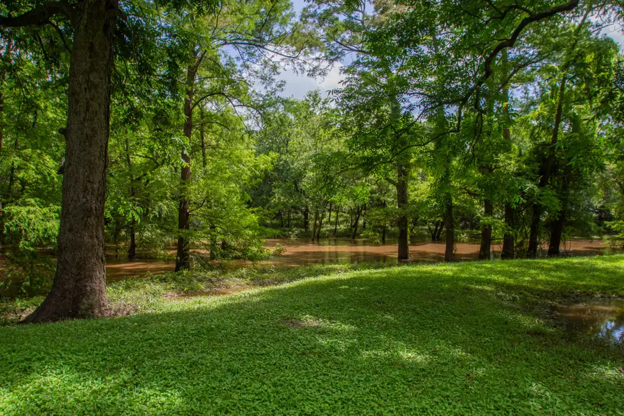 11935 County Road 170, Boling, TX 77420 - #3