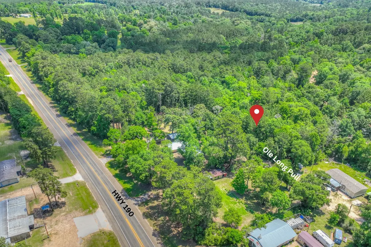 147 Ole Long Pull Road, Livingston, TX 77351 - #1