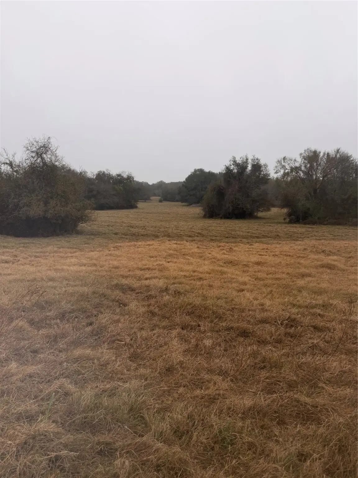 NA County Road 386, Marquez, TX 77865 - Image #1