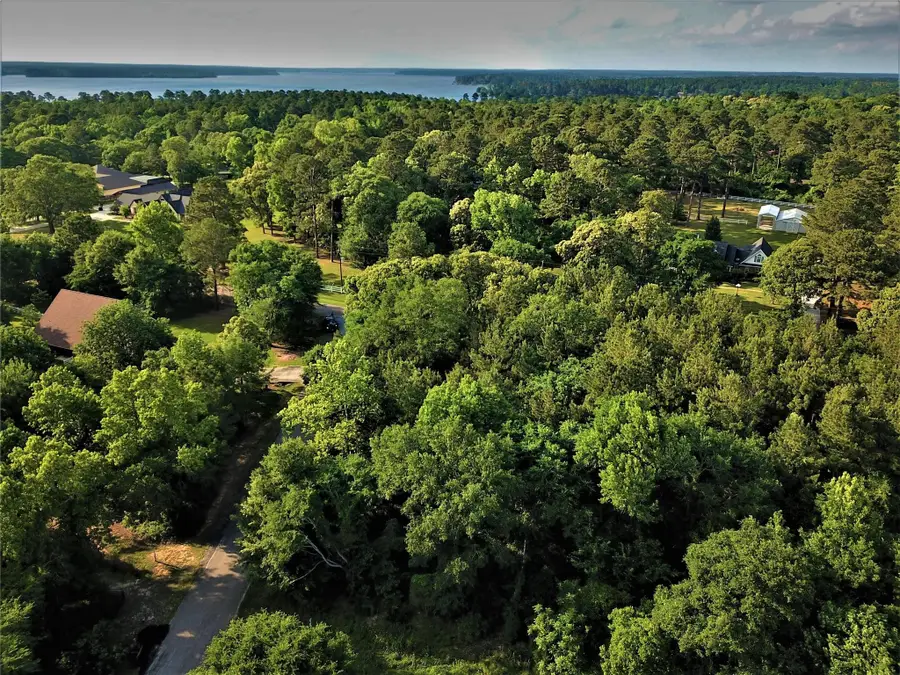 7 Dairyland, Willis, TX 77318 - #3