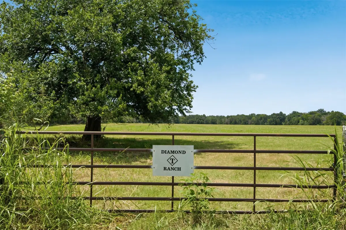 00 Lcr 382, Groesbeck, TX 76642 - #1