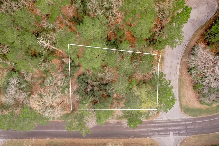 TBD Dewberry Ct, Huntsville, TX 77340 - #2