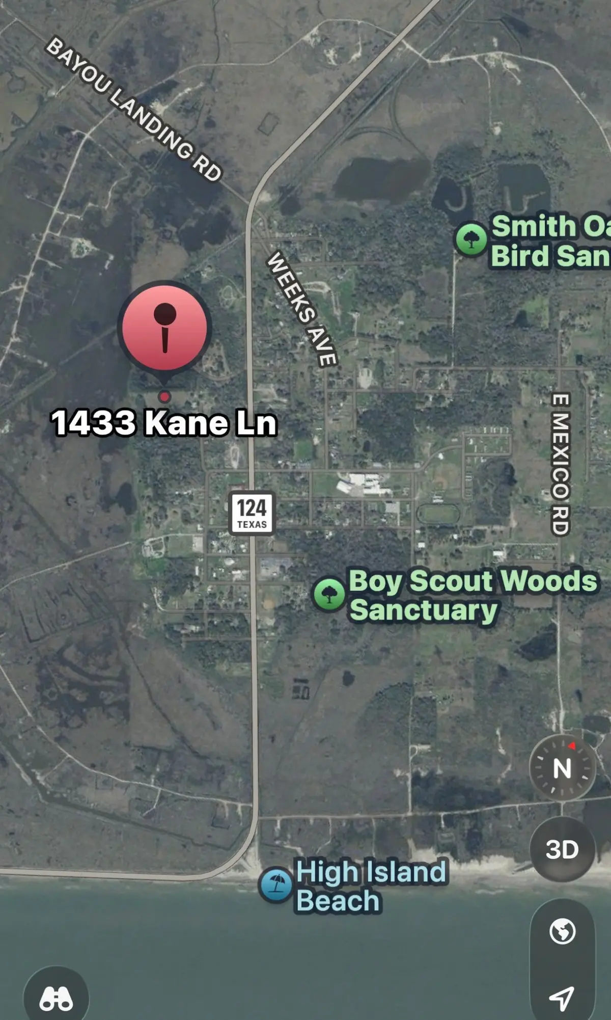1433 Kane Lane, High Island, TX 77623 - #1