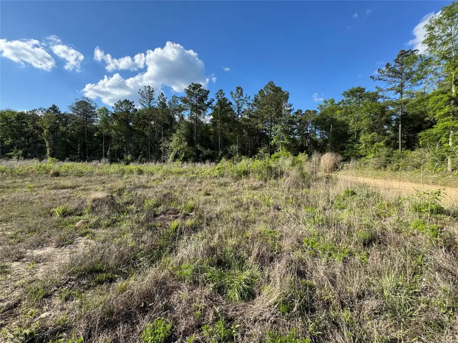 2600 County Road 4800, Warren, TX 77664 - #2