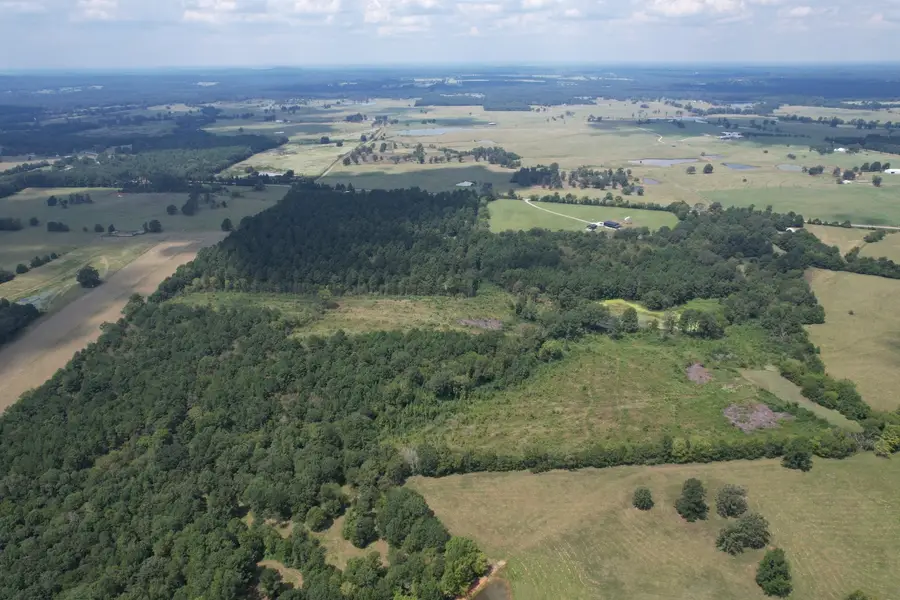 TBD W Fm 1662, Laneville, TX 75667 - #3