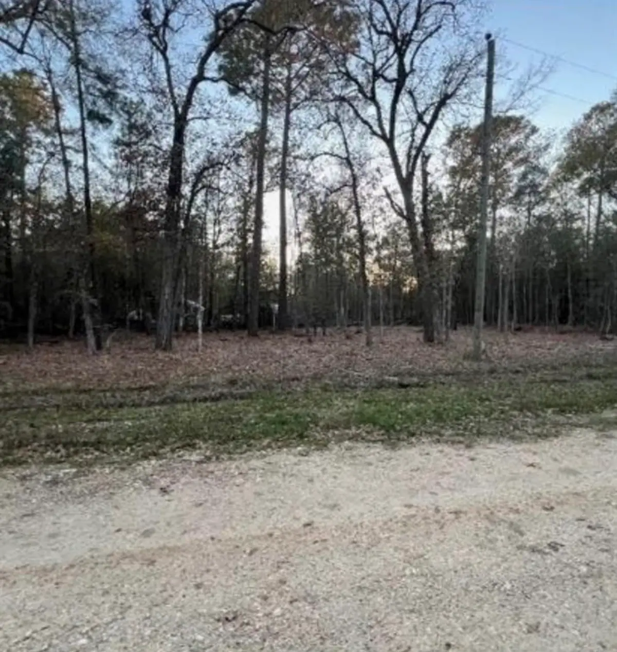 0 Deer Trl Trail, Livingston, TX 77351 - #1